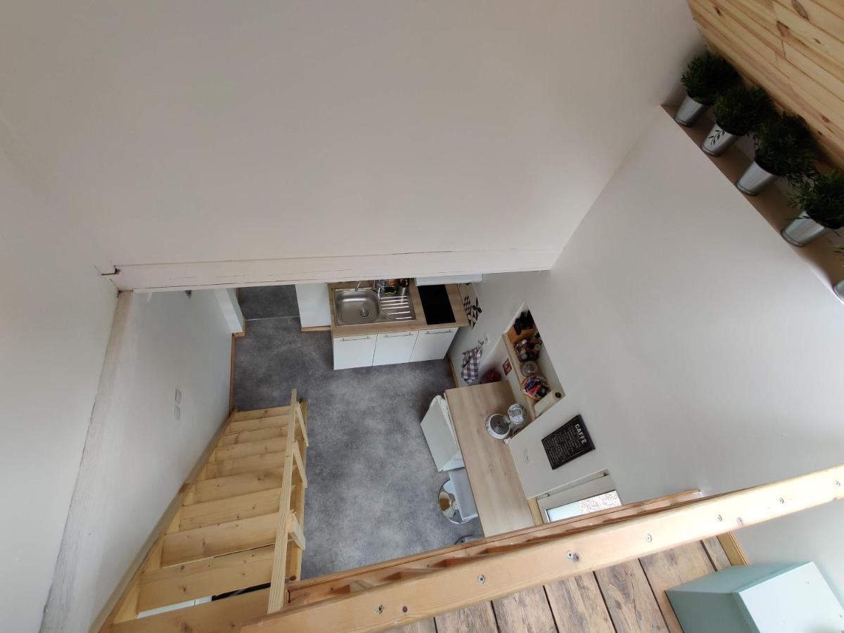 Studio Mezzanine Chez Papou, Ville Et Foret Страсбург Екстер'єр фото