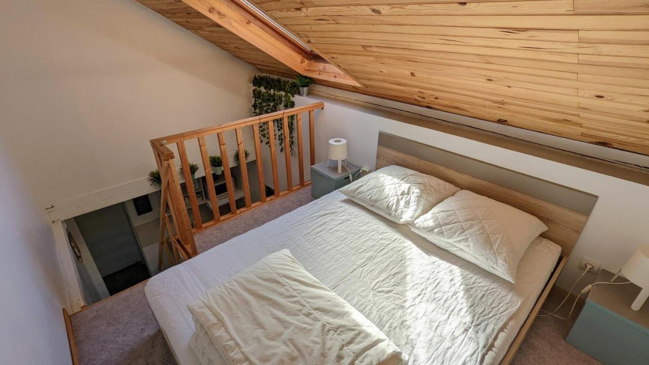 Studio Mezzanine Chez Papou, Ville Et Foret Страсбург Екстер'єр фото